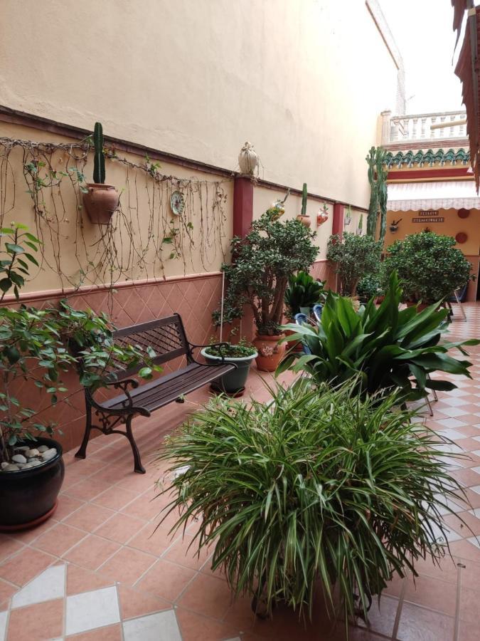 Hostal Monteolivos Cártama Dış mekan fotoğraf